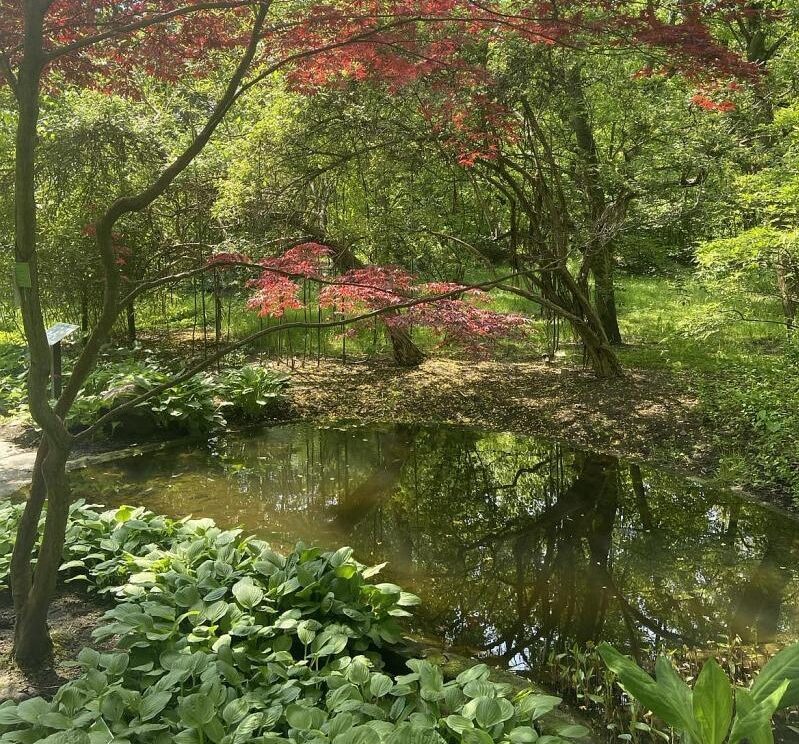 Roślinność w Ogrodzie Botanicznym