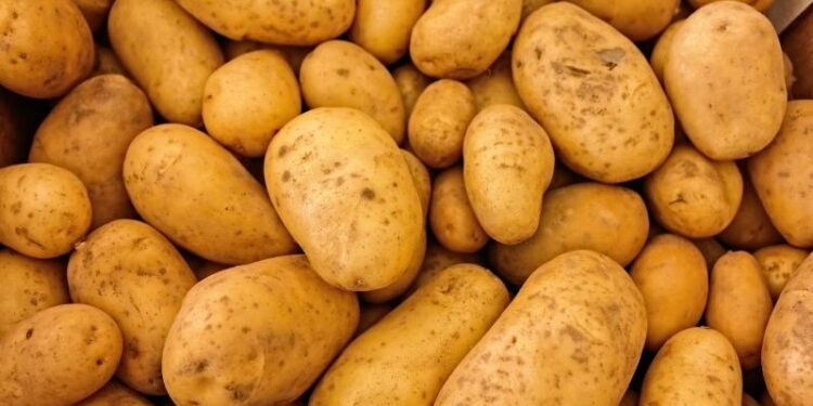 Kuchnia Poznania: Tradycyjne dania i najlepsze restauracje