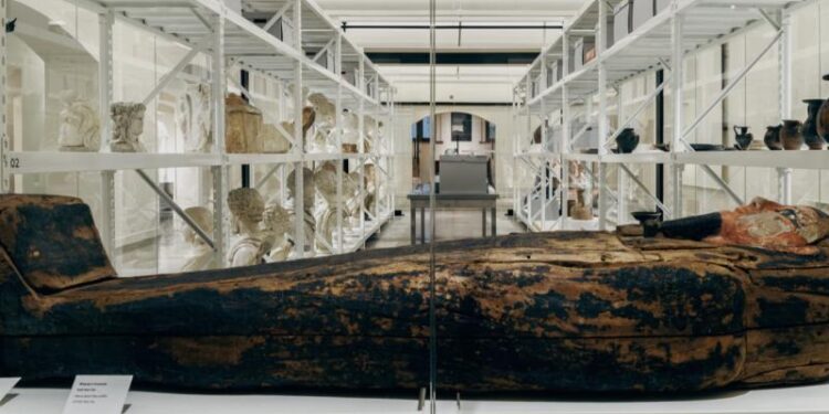 Otwarcie Studyjnej Galerii Sztuki Starożytnej w Poznaniu. Takiej wystawy jeszcze nie było! źródło: mnp.art.pl