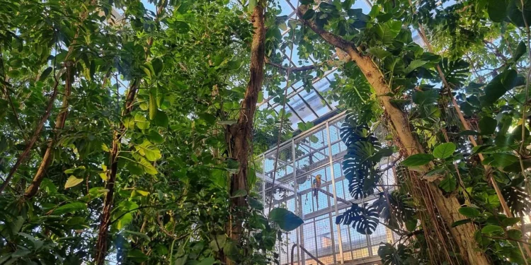 Palmiarnia Poznańska to świetny wybór niezależnie od pogody. Fot. Palmiarnia Poznań