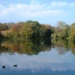 Park Sołacz