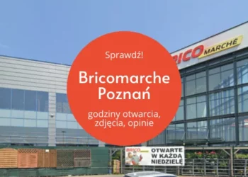 Bricomarche Poznań Pestka, fot. Google Earth