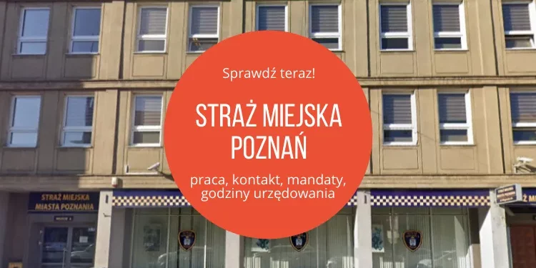 Straż Miejska Poznań, fot. Google Earth