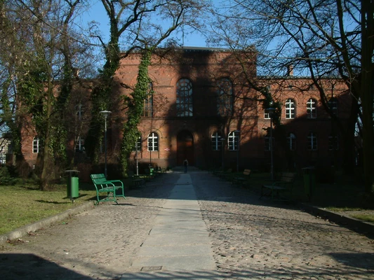 Budynek będący siedzibą Gimnazjum (teraz Liceum) św. Marii Magdaleny.