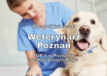 Weterynarz Poznań, fot. pressmaster / Vista