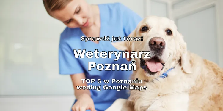 Weterynarz Poznań, fot. pressmaster / Vista