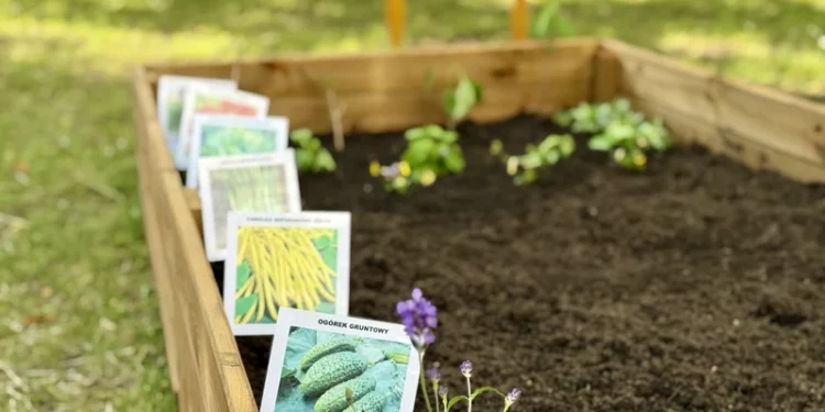 „Ogród na Ogrodach” – nowa przestrzeń zielona na Kampusie Ogrody UAM