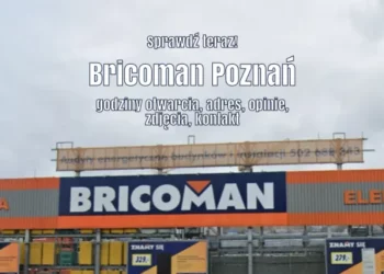 Bricoman Poznań, fot. Google Earth