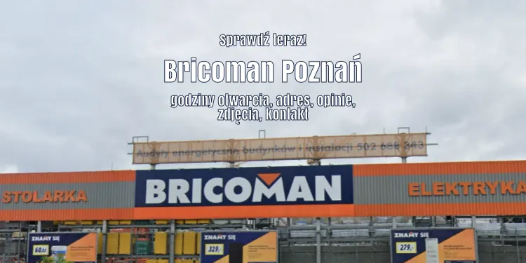 Bricoman Poznań, fot. Google Earth