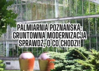 Palmiarnia Poznańska modernizacja