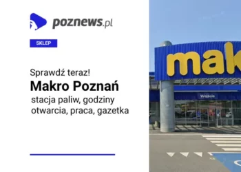 Makro Poznań, fot. Google Earth