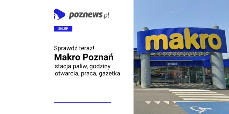 Makro Poznań, fot. Google Earth