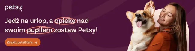 Hotel dla psów Poznań - petsy.pl